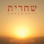 David-Jazz-Trio - Cd-Album Shacharit